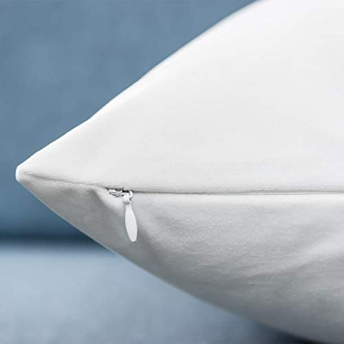 JUSPURBET 22x22 Decorative Velvet Throw Pillow Covers Set of 2,White