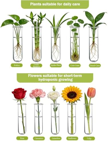 XXXFLOWER Wall Hanging Propagation Station with Wooden Stand 5 Glass Test Tubes 3 Tiered Planters Wall Terrarium for Home Office Plant Hanger Flower Vases Wall Decor Hydroponic Cuttings
