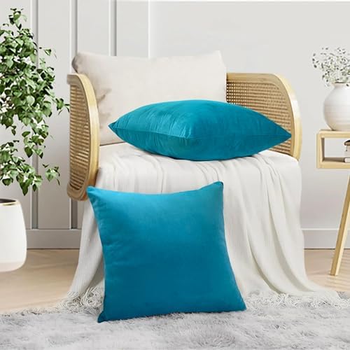 RELY+ Pack of 2 Throw Pillow Covers 20x20 Inch Velvet Soft Cozy Solid Decoration Gifts Pillow Covers Luxury Cushion Case for Sofa Couch Bedroom Living Room (Turquise, 20 x 20)