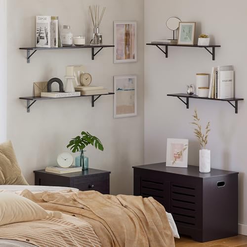 DINZI LVJ Wall Shelves, 23.6" Long Floating Shelves with Metal Brackets