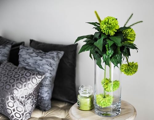 WGVI Quality Thick Weighted Clear Cylinder Glass Vases, 4" W x 6" H, Flower Arrangement Glass Candle Holders Wedding Centerpieces Terrarium Planter Pen Brush Storage Container, Bulk Wholesale, 12 Pcs