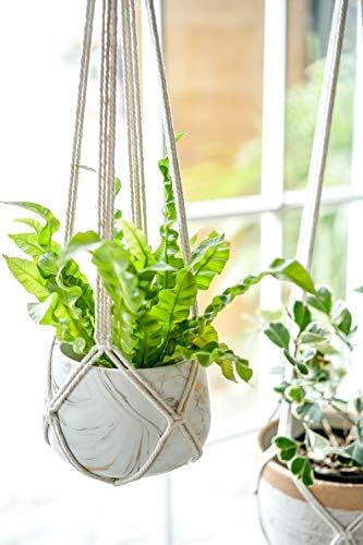 Dahey Hanging Plant Shelf and Macrame Plant Hanger Indoor Hanging Planter Basket Home Decor Display Planter Rack for Living Room Bedroom Kitchen