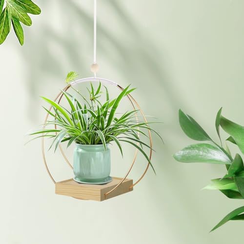 hismocal Hanging Planter for Indoor Plants, Plant Hanger with Sturdy Wood Base,Modern Boho Macrame Plant Hanger,Wall Ceiling Window Stands(Plants/Pots Not Included)