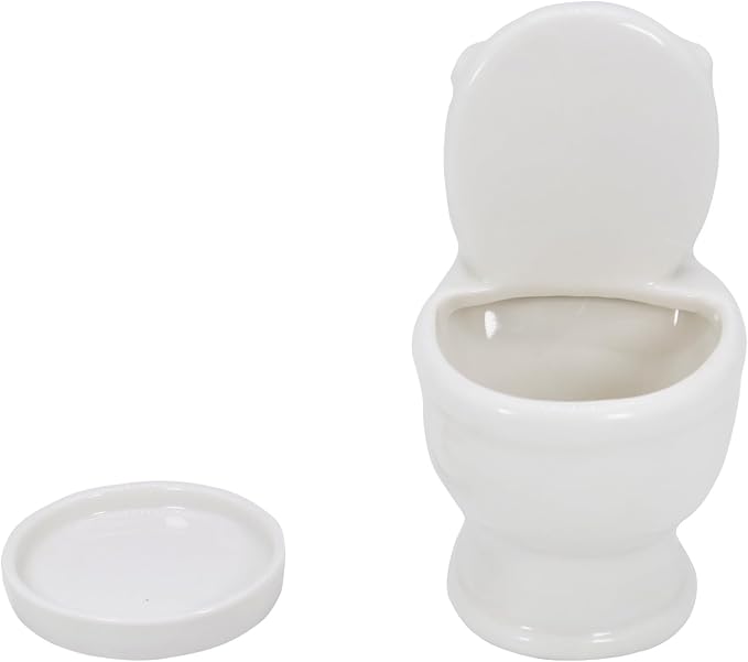Gemseek Cute Ceramic Toilet Bowl Succulent Planter Pot with Drainage Tray