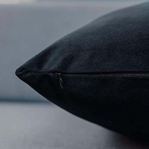 JUSPURBET 28x28 Euro Velvet Throw Pillow Covers Set of 2,Black