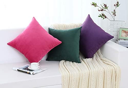 Jeneoo Set of 2 Comfy Soft Velvet Throw Pillow Covers for Sofa Couch Invisible Zipper Decorative Solid Square Cushion Cases for Bedroom Car (18 x 18 Inches, Blush Rose)