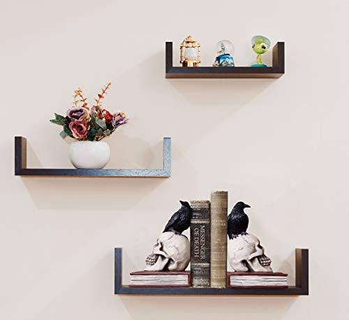 Evil Omen Raven On Skull Perch Decorative Bookend Set