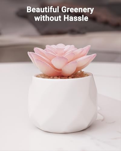 VIVERIE Mini Succulents Plants Artificial in Pots-Rose Pink, Christmas Small Fake Succulents Plants for Home Decor Indoor for Women, White Ceramic Faux Succulents, Set of 1, Gifts for Mom