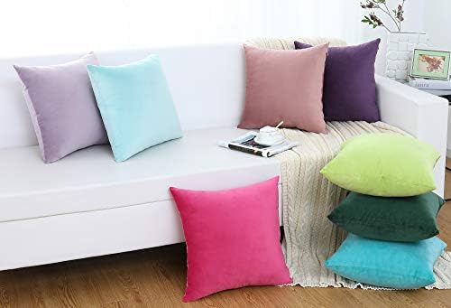 Jeneoo Set of 2 Decorative Throw Pillow Covers Soft Velvet Comfy Solid Couch Cushion Cases for Livingroom Bed Sofa Decor (Sky Blue, 18 x 18 Inches)