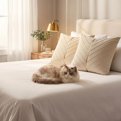 Velvet Throw Pillow Covers 22x22 inch Pack of 2 Gold Decor Cream