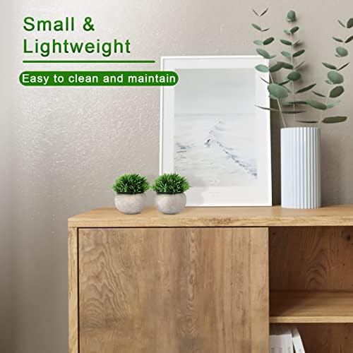 THE BLOOM TIMES 2 Pcs Small Fake Plants Artificial Potted Plants Home Decor
