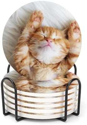 Drink Coasters for Drinks Set of 6, Cute Little Ginger Cat Sleeps Absorbent Round Ceramic Stone Mat Coaster,with Cork Base and Metal Holder,Home Bar Decor House Warming Gift