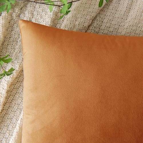 VAKADO Pumpkin Fall Throw Pillow Covers Decorative 16x16 Set of 2 Outdoor Decor Couch Cushion Covers Pillowcases Home Bed Decoration for Sofa Bedroom Office