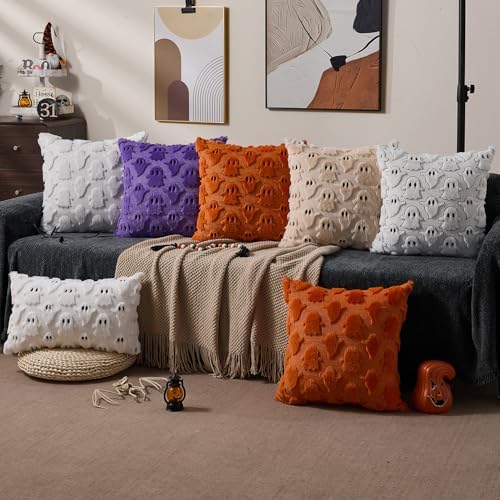 DFXSZ Halloween Pillow Covers 20x20 inch 2Pcs White Black Ghost Halloween Decor