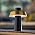 Adesso 2-Light Table Lamp, Walnut & Frosted Glass, Dual Pull Chains, 22.5”
