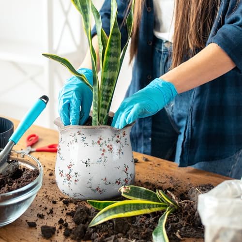 Newtay 6 Inch Vintage Ceramic Planters Crackle Glaze,Cute