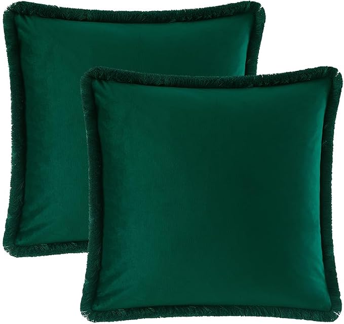 JUSPURBET Forest Green Velvet Throw Pillow Covers 16x16 Inch Set of 2 with Soft Tassel Fringe Luxury Boho Pillowcase for Sofa Couch Bed Home Decor Machine Washable
