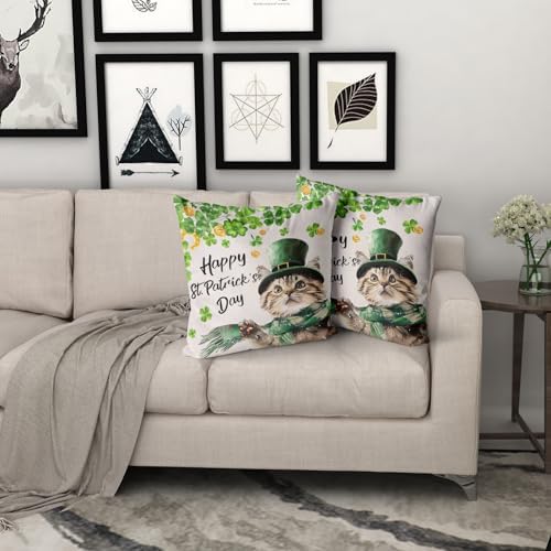 Giwawa Patrick Cat Throw Pillow Covers Set of 2, 20x20in Happy St Patrick's Day Kitten Decorative Square Pillow Cases, Clover Shamrock Soft Cotton Cushion Covers for Sofa Couch Bedding Decor