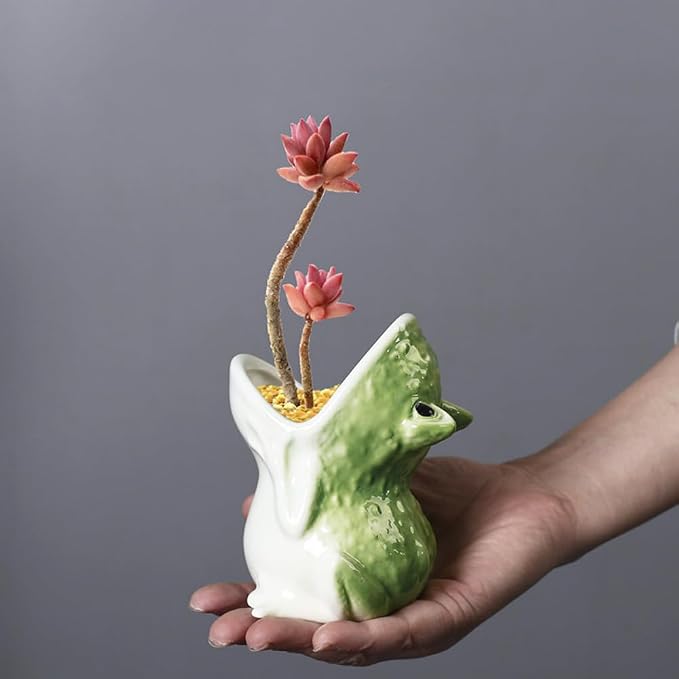 Gemseek Cute Green Ceramic Frog Succulent Planter Pot with Drainage Tray