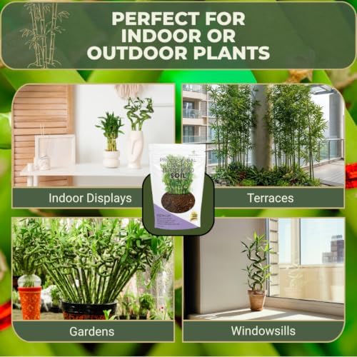 Leaves & Soul Lucky Bamboo Potting Soil 2.2 Qt for Lucky Bamboo Plant