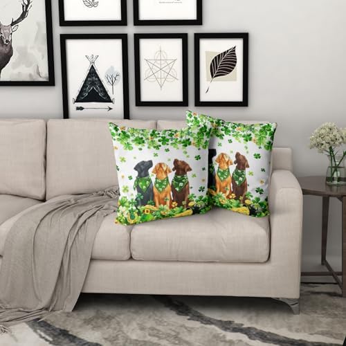 Giwawa Patrick Dogs Pillow Covers Set of 2 20x20inch Lucky Shamrocks Funny Puppy Decorative Square Pillow Cases Spring Clovers Leaf Cotton Throw Cushion Covers for Sofa Couch Patio Bedding