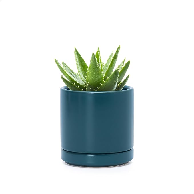 D'vine Dev 3.5 Inch Ceramic Planter Pot, Teal, 94-O-A-9 | Modern Cylinder Design, Drainage Hole & Saucer Included, Stable Structure, Elegant Home Accent
