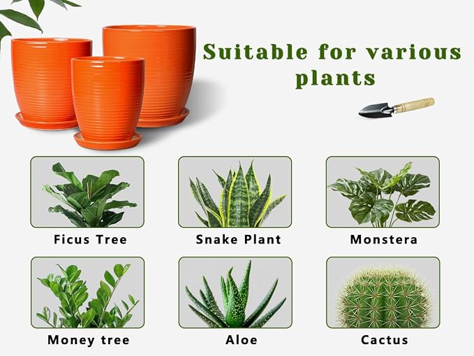 12 Inch Plant Pot, Ceramic Planters for Plants with Drainage and Saucer, Orange