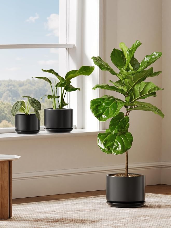 LE TAUCI Ceramic Pots for Plants, 10 Inch Plant Pot with Drainage Hole & Saucer, Sturdy & Modern Planters for Indoor Plants, Includes Mesh Screen, Fits Snake Plant & Monstera, Black