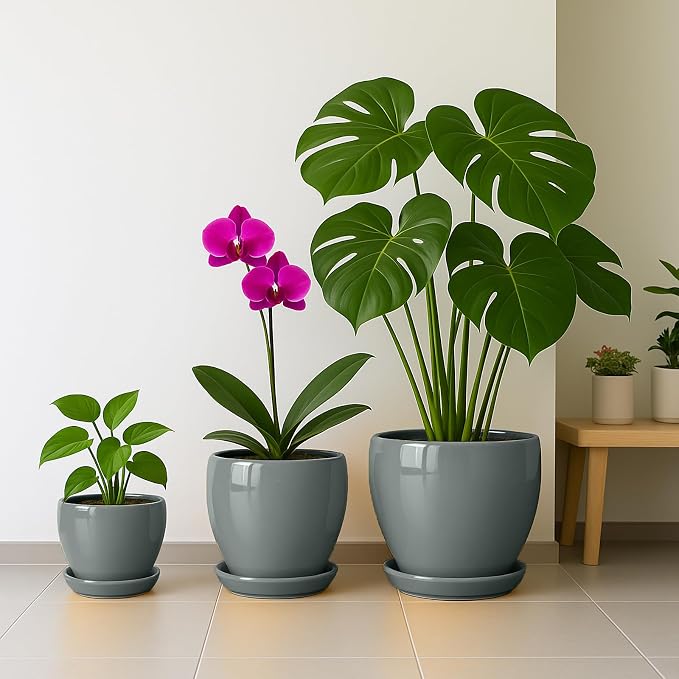 Deep Dream 6 Inch Plant Pots- Ceramic Planter Pot with Drainage Hole and Saucer, Round Flower Pot for Indoor Outdoor Succulent, Snake Plants and Cactus, Grey
