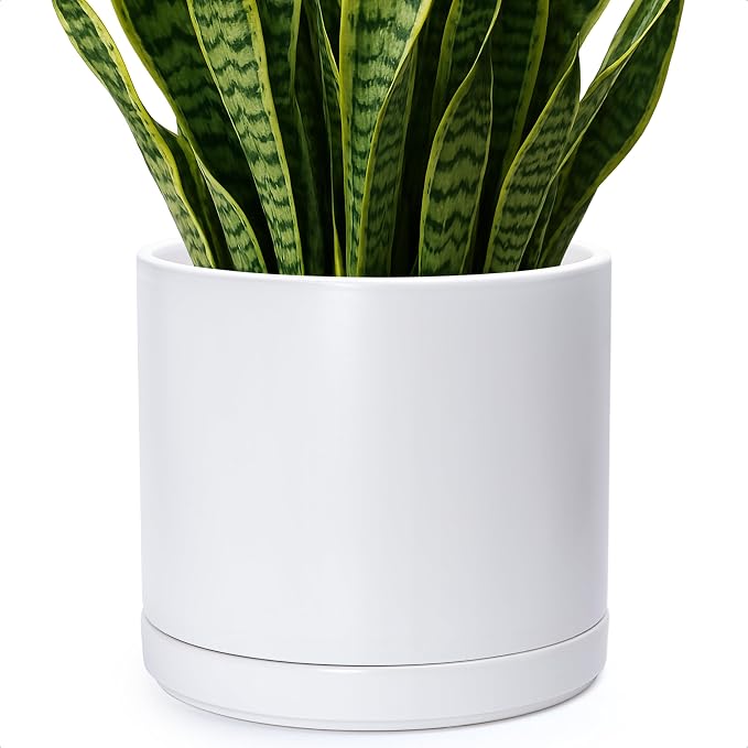 D'vine Dev 14 Inch Ceramic Planter Pot, White, 94-O-G-1 | Modern Cylinder Design, Drainage Hole & Saucer Included, Stable Structure, Elegant Home Accent