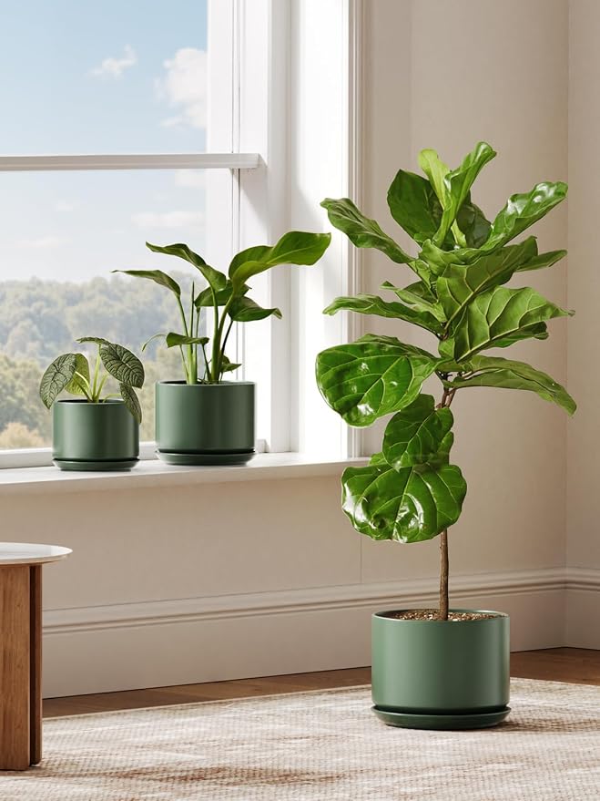 LE TAUCI Ceramic Pots for Plants, 10 Inch Plant Pot with Drainage Hole & Saucer, Sturdy & Modern Planters for Indoor Plants, Includes Mesh Screen, Fits Snake Plant & Monstera, Forest Green