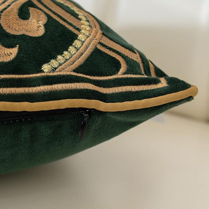Aeckself European Luxury Velvet Throw Pillow Cover 16 x 16 Inch, Embroidery Floral Pillow Cover Home Decor Pillowcase for Couch Bedroom Living Room, Dark Emerald Green and Gold