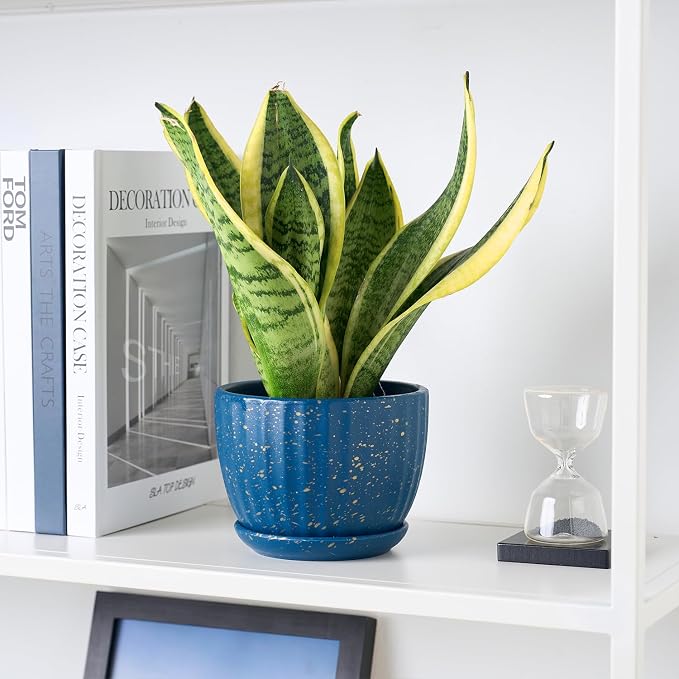 4/5/6 Inches Ceramic Plant Pots with Drainage Holes and Saucer Set of 3 | Round Planter for Small Indoor/Outdoor Plants with Modern Stripes Design, Blue with Gold Dot, Decorative Flower Pots