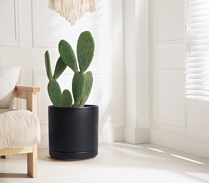 D'vine Dev 12 Inch Ceramic Planter Pot, Black, 94-O-F-2 | Modern Cylinder Design, Drainage Hole & Saucer Included, Stable Structure, Elegant Home Accent