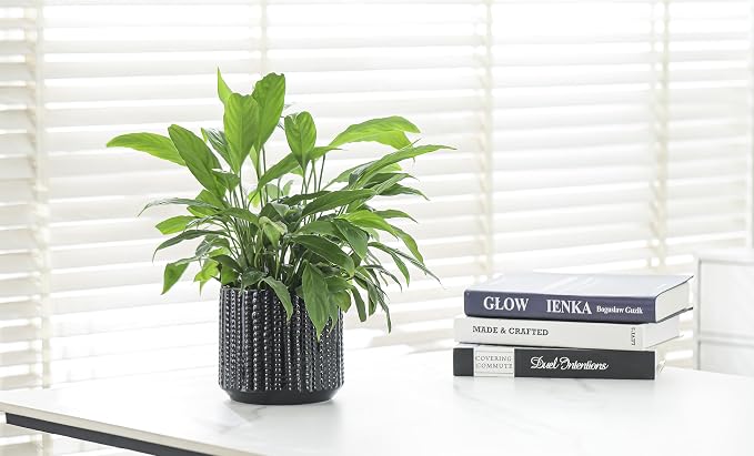 Ceramic Planter Pot with Drainage Hole, 5 Inch Dia, Indoor and Outdoor, Home Patio Garden, Plants&Flowers, Textured Round (Black)