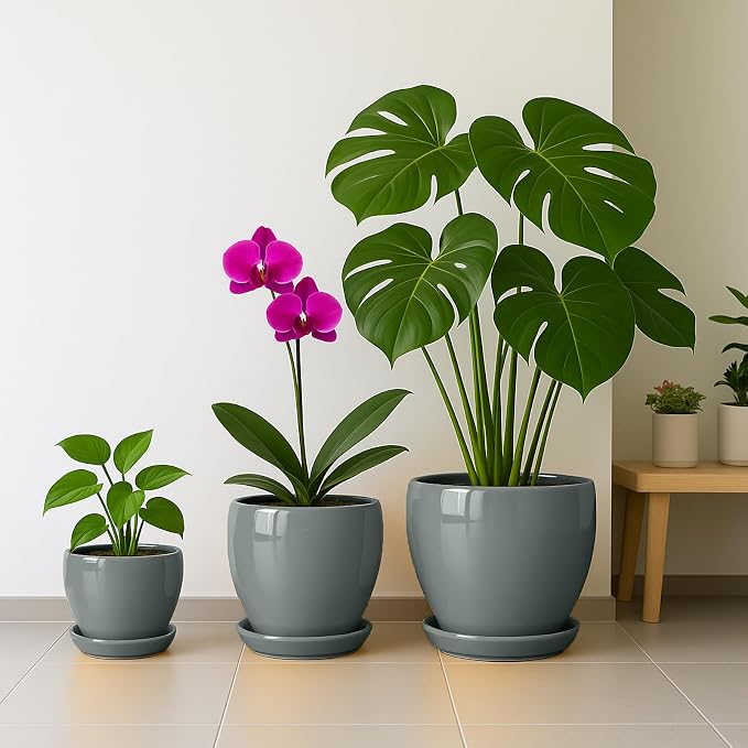 Deep Dream 8 Inch Plant Pots- Ceramic Pots for Plants with Drainage Hole and Saucer, Large Planter Pot for Indoor Plants Outdoor Decor, Grey