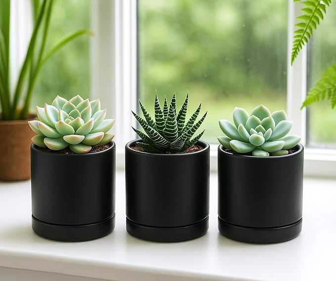 D'vine Dev 3.5 Inch Ceramic Planter Pot, Black, 94-O-A-2 | Modern Cylinder Design, Drainage Hole & Saucer Included, Stable Structure, Elegant Home Accent