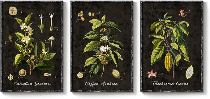 Large Vintage Framed Botanical Wall Art for Living Room, 3 Piece Dark Green Coffee Plant Canvas Prints Paintings, Retro Leaf Moody Pictures for Dining Room Coffee Bar Kitchen Wall Decor, 24x36 Inch