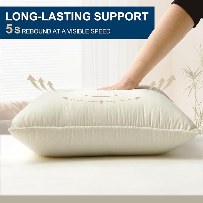 24 x 24 Throw Pillow Inserts | Soft and Plush, Virgin Fiber Filling, Decorative Pillows for Couch Sofa Bed, Machine Washable - White, Pack of 2