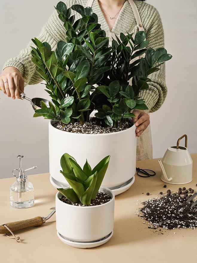 LE TAUCI Ceramic Pots for Plants, Set of 2, 10 + 12 Inch Plant Pot with Drainage Hole and Saucer, Durable & Stylish Planters for Indoor Plants, Elevate Your Home’s Aesthetic, White