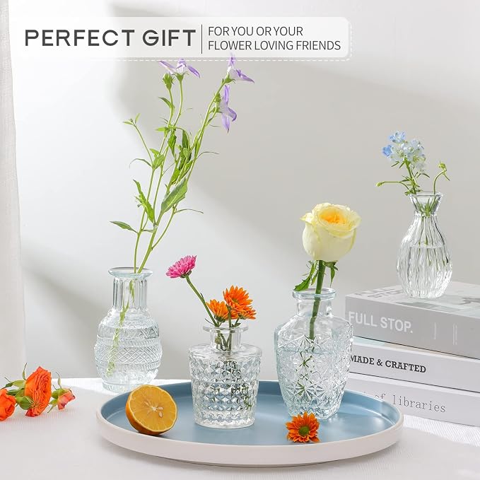 8 Pcs Glass Bud Vases Clear Vintage Small Flower Vases for Table Decor