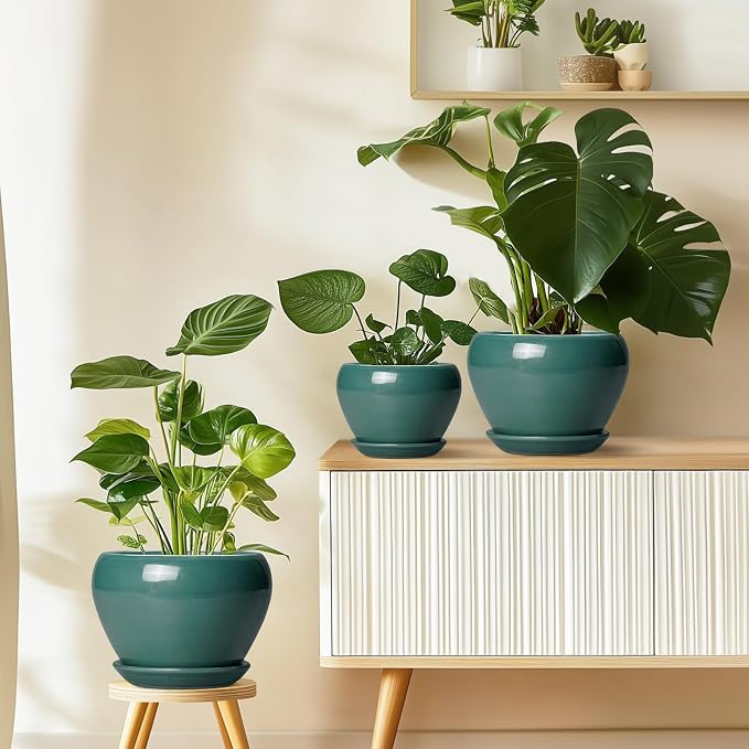 Ceramicfor Indoor Plant Pot 6 Inch - Ceramic Planter with Drainage Hole and Saucer, Modern Decorative Indoor Planter for Herb Succulent Plants, Garden Home Decor, Gifts for Plant Lovers, Green
