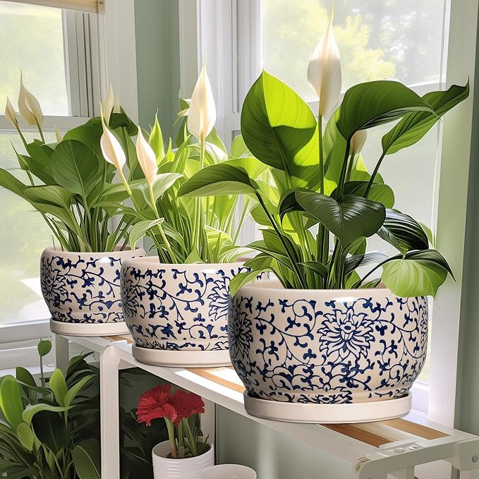 SQOWL Ceramic Planters for Indoor Plants - 8 inch Plant Pot with Drainage Hole and Saucer, Decorative Flower Pot Outdoor, Porcelain Round Planter, Living Room Decor, Gardening Gifts, Blue and Beige