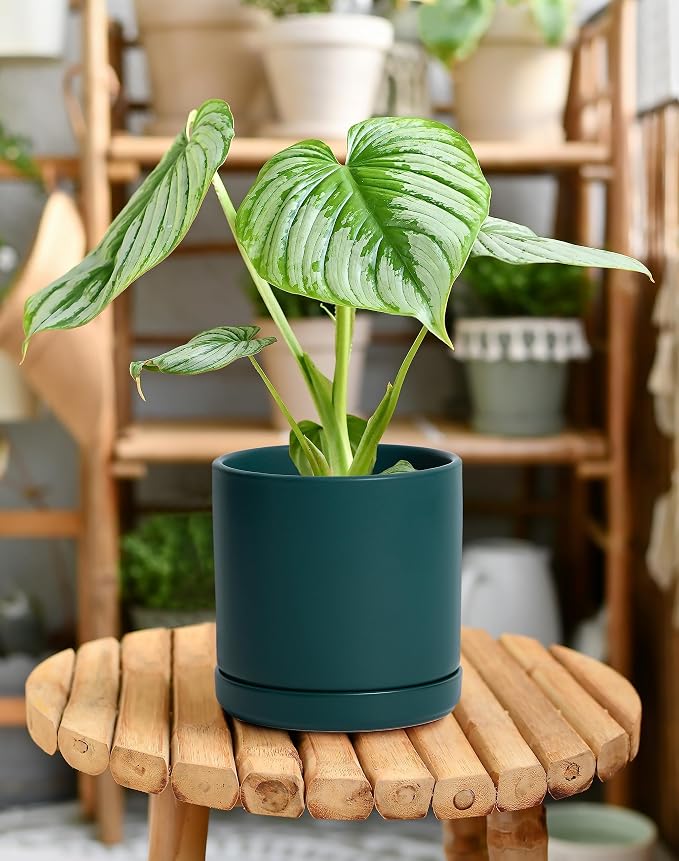 D'vine Dev 6 Inch Ceramic Planter Pot, Teal, 94-O-C-9 | Modern Cylinder Design, Drainage Hole & Saucer Included, Stable Structure, Elegant Home Accent
