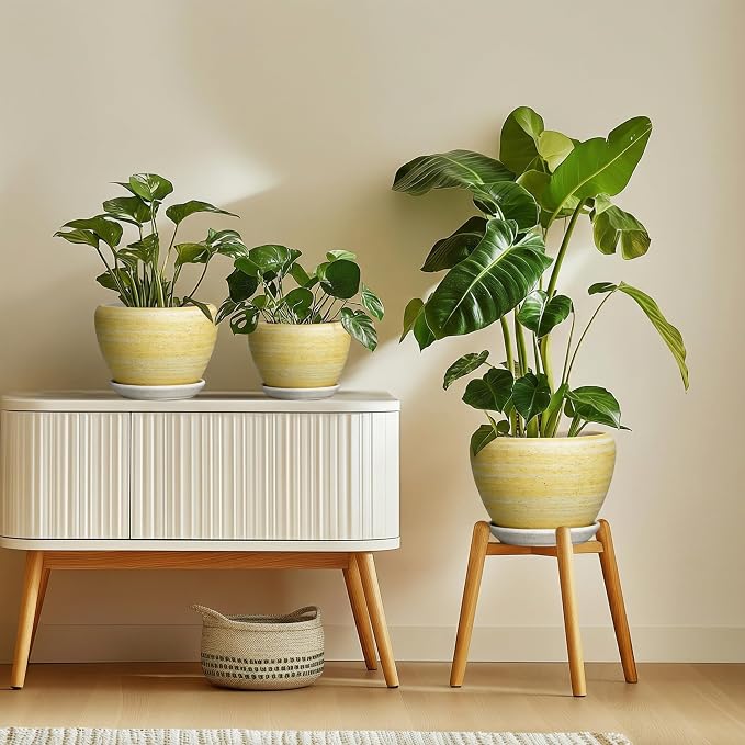 Ceramic Planter, 6 Inch Plant Pots, Textured Yellow | Modern Indoor Flower Pots with Drainage Hole and Saucer, Round Planter for Indoor Plants, Bathroom Decor, House Warming Gifts