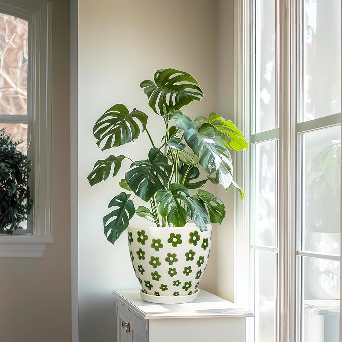 MPotTo 8.2 Inch Plant Pot - Ceramic Flower Pot, Petal White