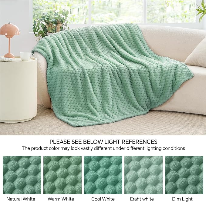 BEDELITE Mint Green Twin Blanket for Couch, Soft Cozy Gift for Women, 60*80 | 3D Jacquard Decorative Fleece Blanket, Super Soft Plush Throws, Cute Birthday Gift for Women & Men, Suitable for All Seasons
