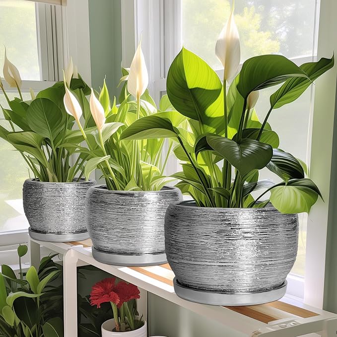 SQOWL Ceramic Pot for Plants - 8 Inch Planter with Drainage Hole and Saucer, Round Planter Indoor Outdoor, Modern Decorative Flower Pot, House Decor, Gifts for Plant Lovers, Silver