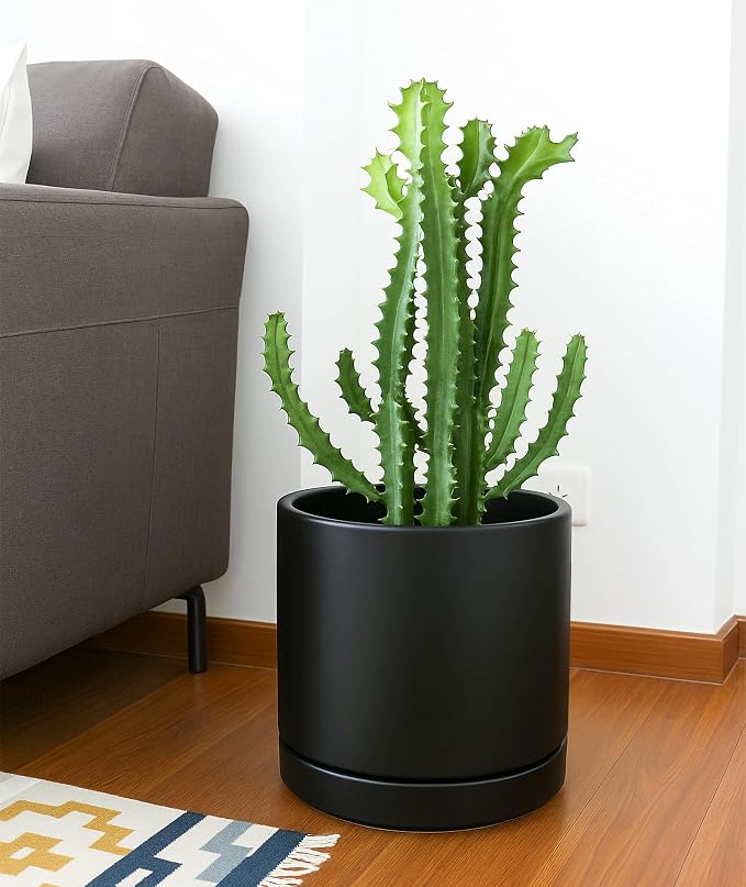 D'vine Dev 10 Inch Ceramic Planter Pot, Black, 94-O-E-2 | Modern Cylinder Design, Drainage Hole & Saucer Included, Stable Structure, Elegant Home Accent