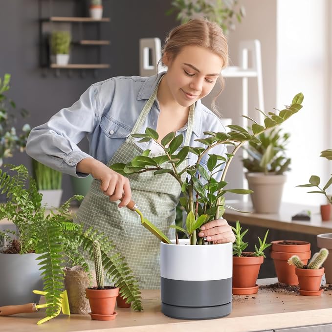 D'vine Dev 8.2 Inch Ceramic Planter Pot, White/Grey, 94-O-D-6 | Modern Cylinder Design, Drainage Hole & Saucer Included, Stable Structure, Elegant Home Accent